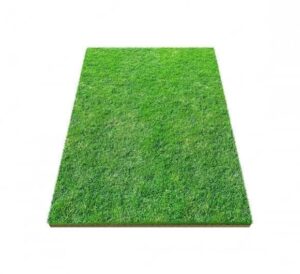 Tapis Gazon Carbet